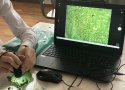 Зеленое образование 28/11/24